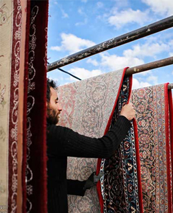 خشک کردن قالی در قالیشویی منیریه
