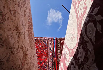 معرفی بهترین مراکز قالیشویی در منیریه